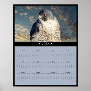 Poster Calendrier mural 2027 du faucon pèlerin