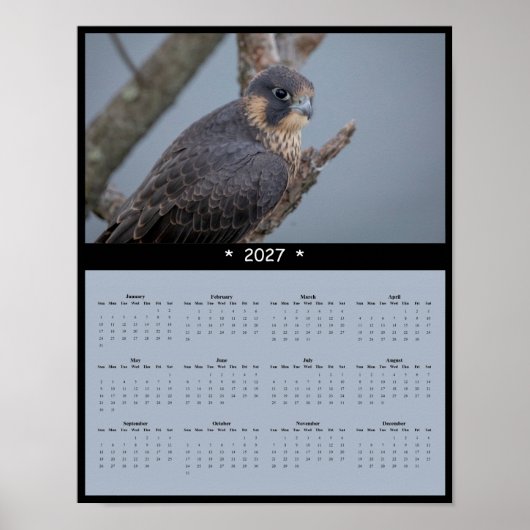 Poster Calendrier mural 2027 du faucon pèlerin (Devant)