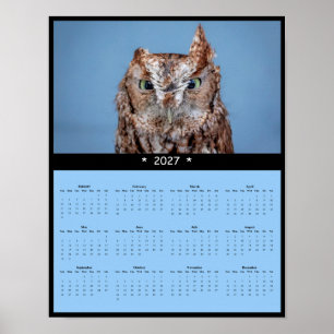 Poster Calendrier mural 2027 du Petit-duc maculé - Forêt