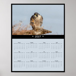 Poster Calendrier mural 2027 Faucon pèlerin - Speed Maste