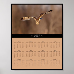 Poster Calendrier mural 2027 Hibou des marais - Cieux ouv