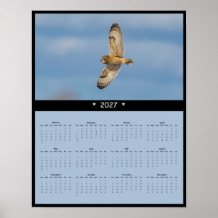 Poster Calendrier mural 2027 Hibou des marais - Meadow Gl