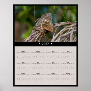 Poster Calendrier mural 2027 Iguane - Faune de Floride