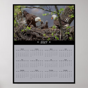 Poster Calendrier mural 2027 Pygargue à tête blanche - Ma