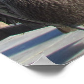 Poster Calendrier - Pélicans sur la jetée 2024 (Coin)