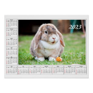 Poster Calendrier pour 2023 Jote lapin à lop