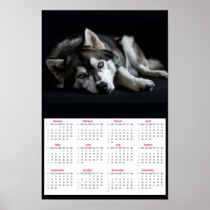 Poster Calendrier Siberian Husky 2025