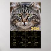 Poster Calendrier Tabby 2026 : Regard Moustachu (Devant)