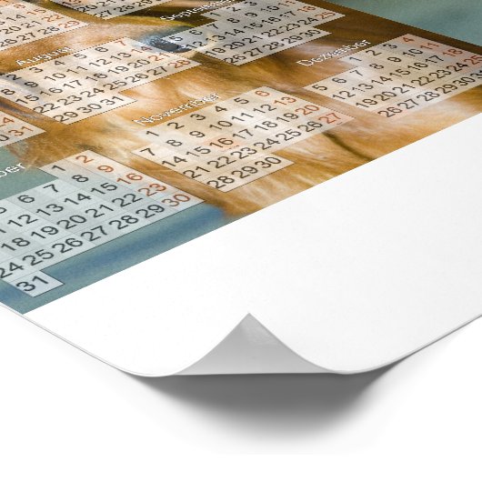 Poster Calendrier Teckel 2011 (Coin)