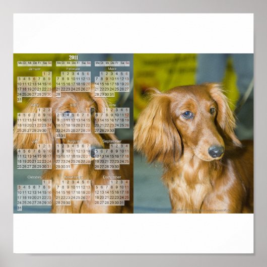 Poster Calendrier Teckel 2011 (Devant)