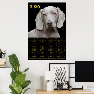 Poster Calendrier Weimaraner 2026