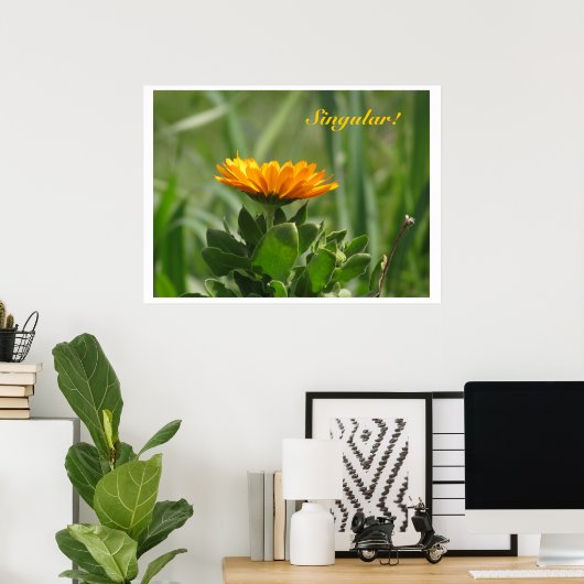 Poster - Calendula Bloom (Bureau à domicile)