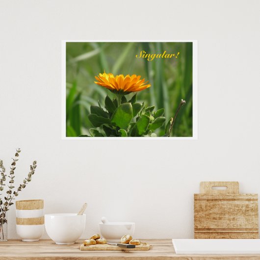 Poster - Calendula Bloom (Cuisine)