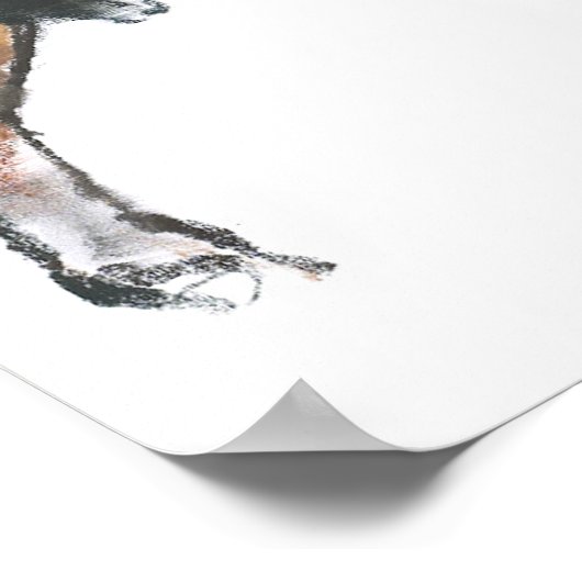 Poster Calf 2006 (Coin)