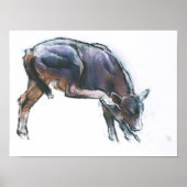 Poster Calf 2006 (Devant)