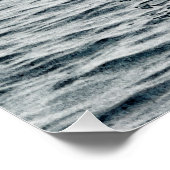 Poster Calf de baleine à bosse (Coin)