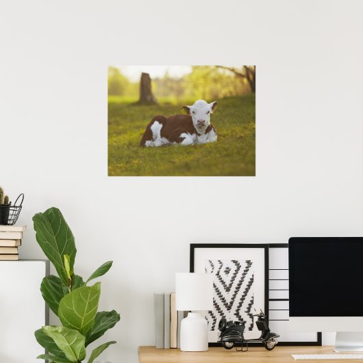 Poster Calf Repose (Bureau à domicile)