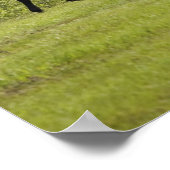 Poster Calgary, Alberta, Canada (Coin)