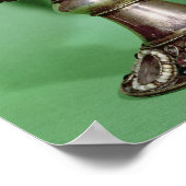 Poster Calice (Coin)