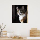 Poster Calico Cat (Cuisine)