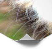 Poster Calico Cat (Coin)