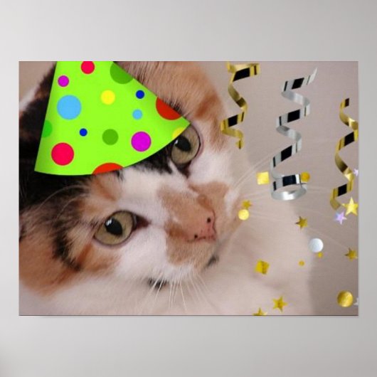 Poster Calico Cat fête d'anniversaire (Devant)