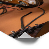 Poster Calico Cat Rocker (Coin)