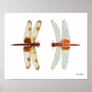 Poster Calico Pennant & Saddlebags Rouges