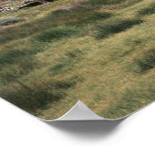 Poster California, Bodie State Historic Park, An old (Coin)