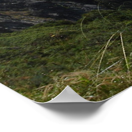 Poster California Central Coast (Coin)