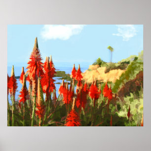 Poster California Coastline & Red Hot Poker Plantes