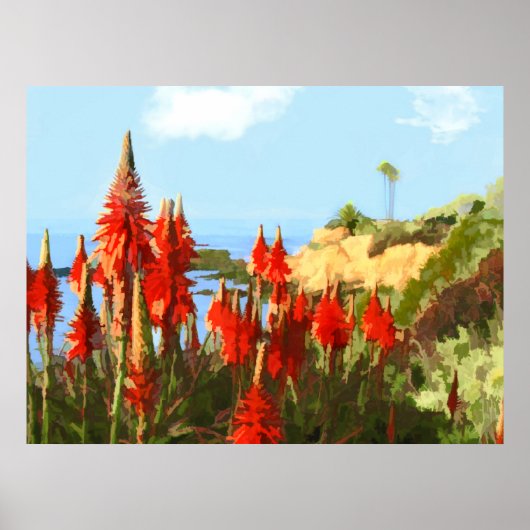 Poster California Coastline & Red Hot Poker Plantes (Devant)