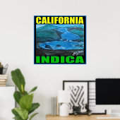 POSTER CALIFORNIA INDICA (Bureau à domicile)