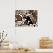 Poster California Lumberjacks Fallen Redwood 1910 (Cuisine)