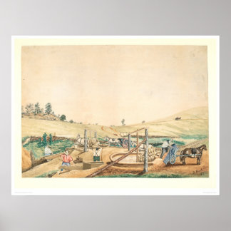 Poster California Miners Working an Arrastra (0111A)
