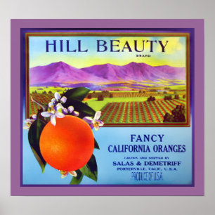 Poster California Oranges Fruit Publicité Imprimer