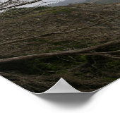 Poster California Panoramic 12 (Coin)