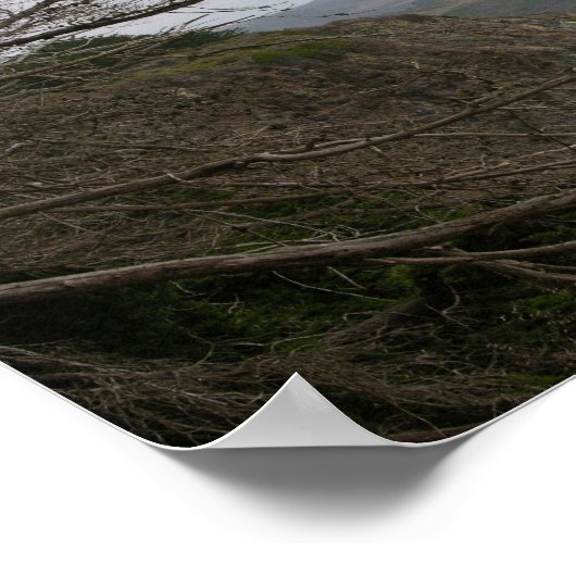 Poster California Panoramic 12 (Coin)