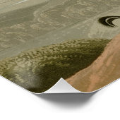 Poster California Partridge (Coin)