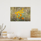 Poster - California Poppies (Keuken)