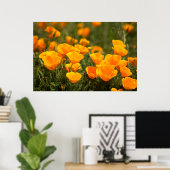 Poster California poppies (Bureau à domicile)