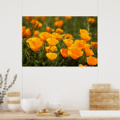 Poster California poppies (Cuisine)