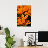 Poster California Poppies (Thuiskantoor)