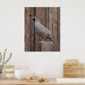 POSTER CALIFORNIA QUAIL À BARNBOARD (Cuisine)
