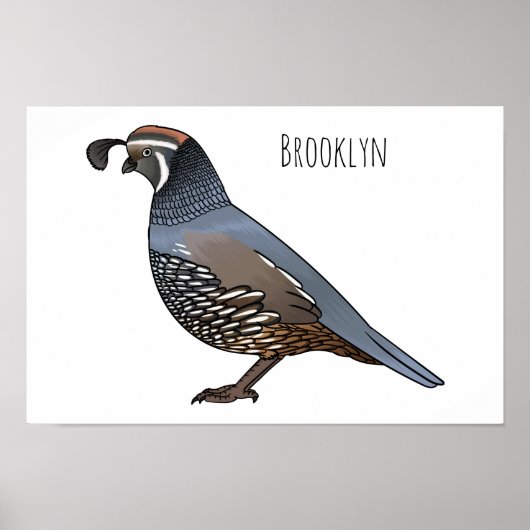 Poster California quail bird cartoon illustration (Devant)