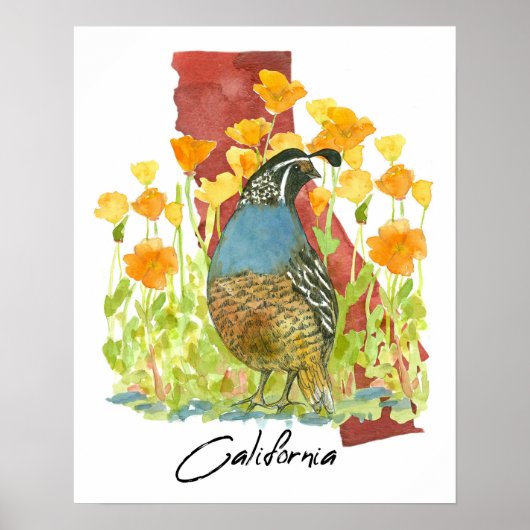 Poster California Quail Bird Poppies State Shape (Devant)
