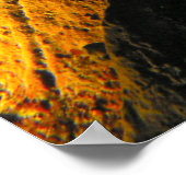 Poster California Sea Cucumber Love - Fine Art Prints (Coin)