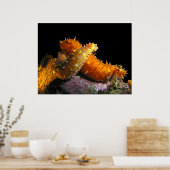 Poster California Sea Cucumber Love - Fine Art Prints (Cuisine)