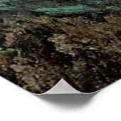 Poster California Valley Farm, by Maurice Braun (Coin)