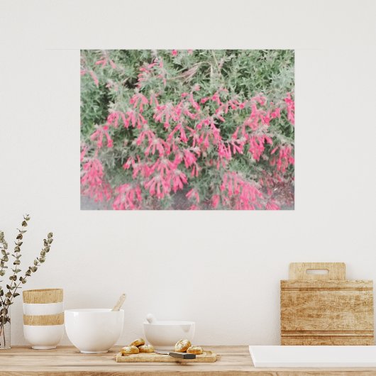 Poster Californie Fuchsia : Les flammes d'automne (Cuisine)